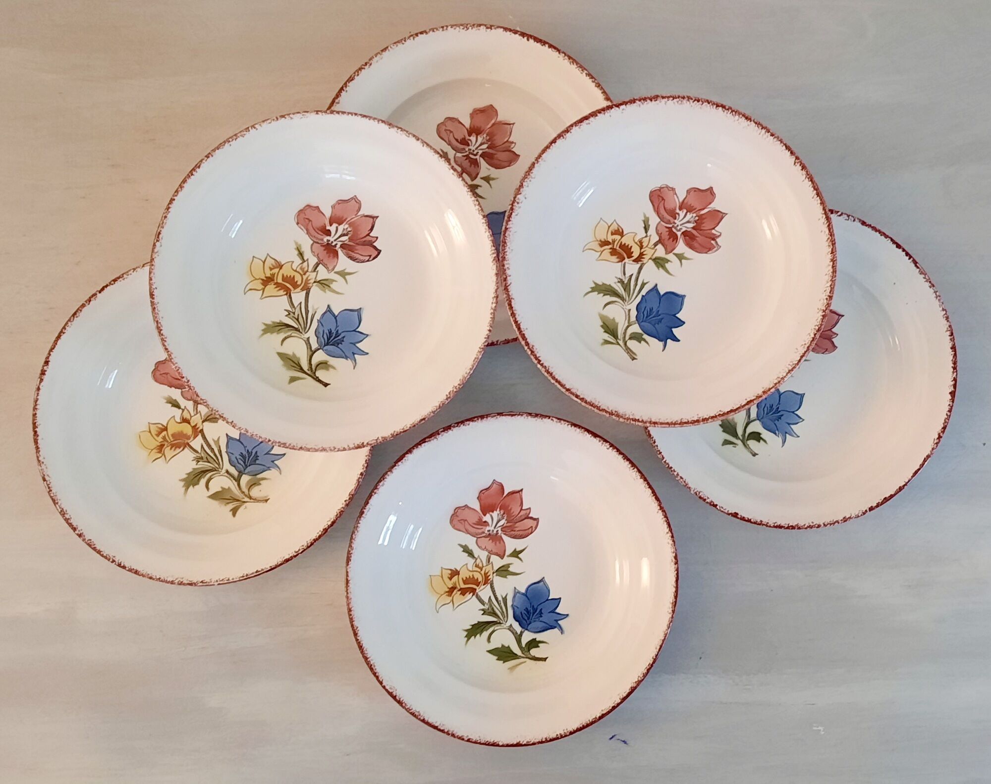 Hollow earthenware plates from Saint Amand Ceranord Vintage Maïté Model