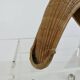 Old chistera, large glove, 62cm, Basque Country, cesta punta, jai alai