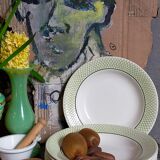 Six earthenware plates of SALINS service "ISERAN" 50s