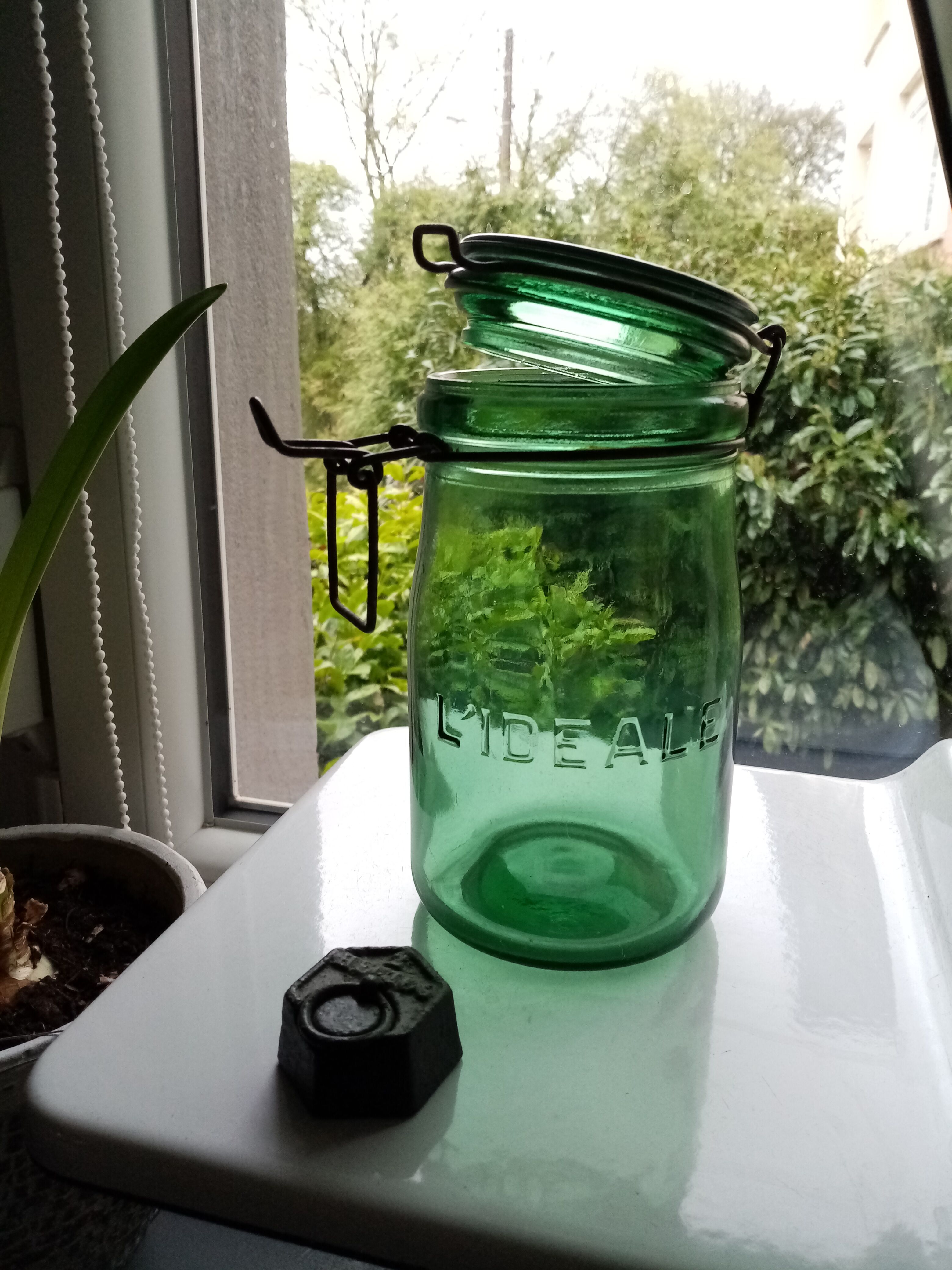 Bocal verre l'ideale
