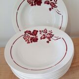 Hollow plates saint Amandoise