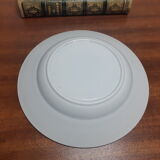 Hollow earthenware plate Terre de Fer, vintage French, 50s