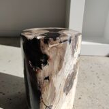 Side table in petrified wood