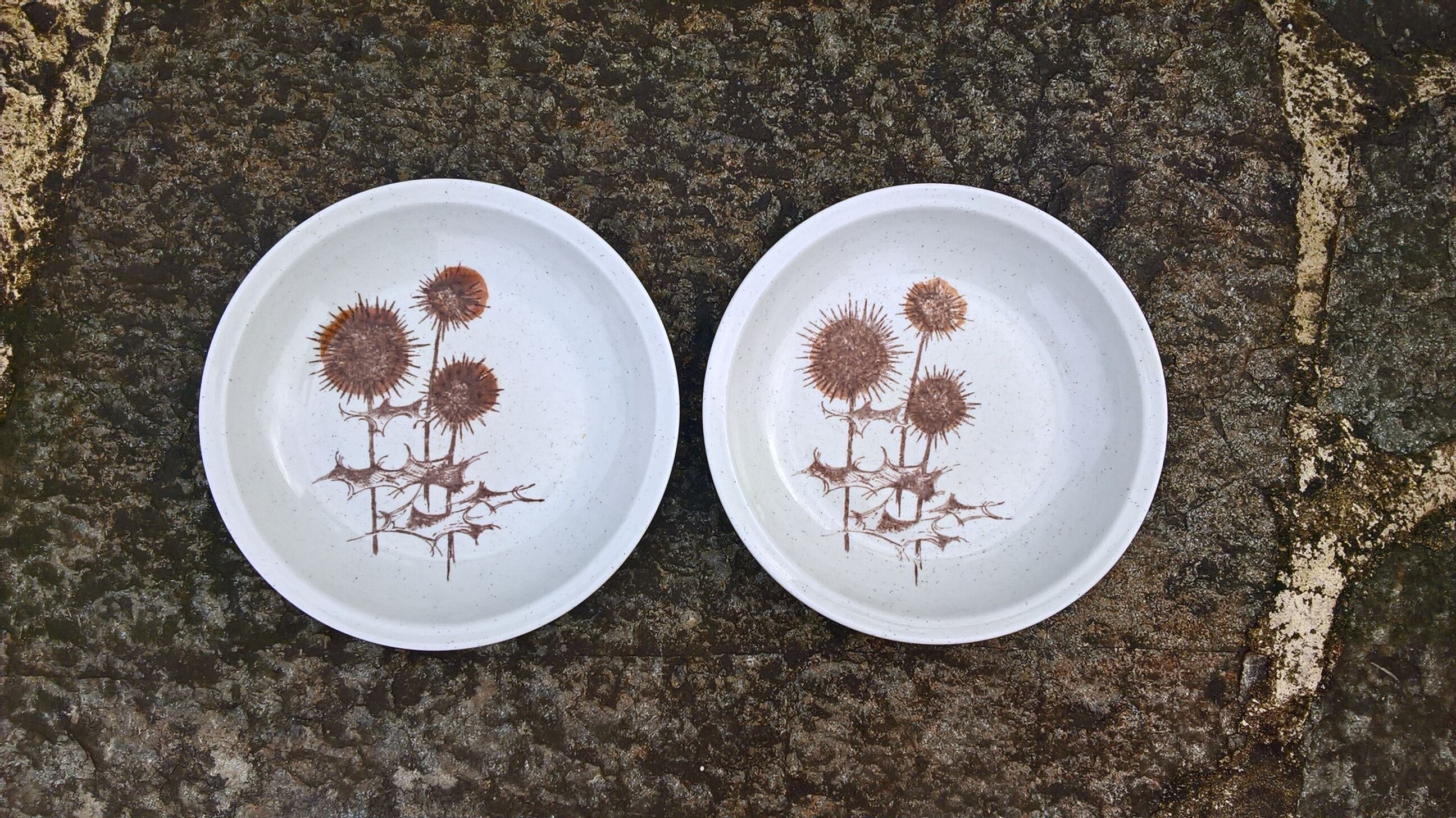 Lot de 2 assiettes creuses Sarreguemines "Chardons"