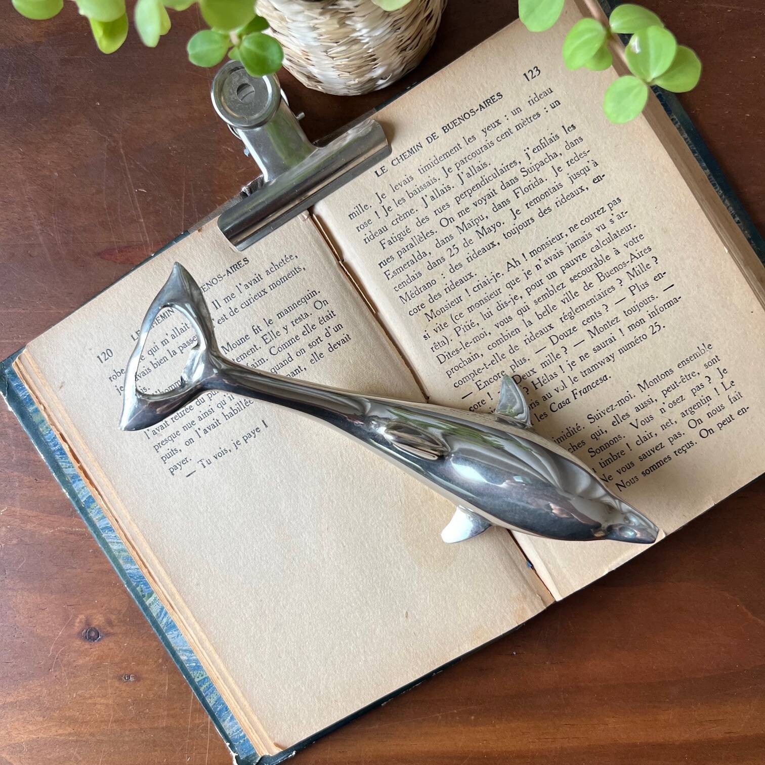 Dolphin bottle opener