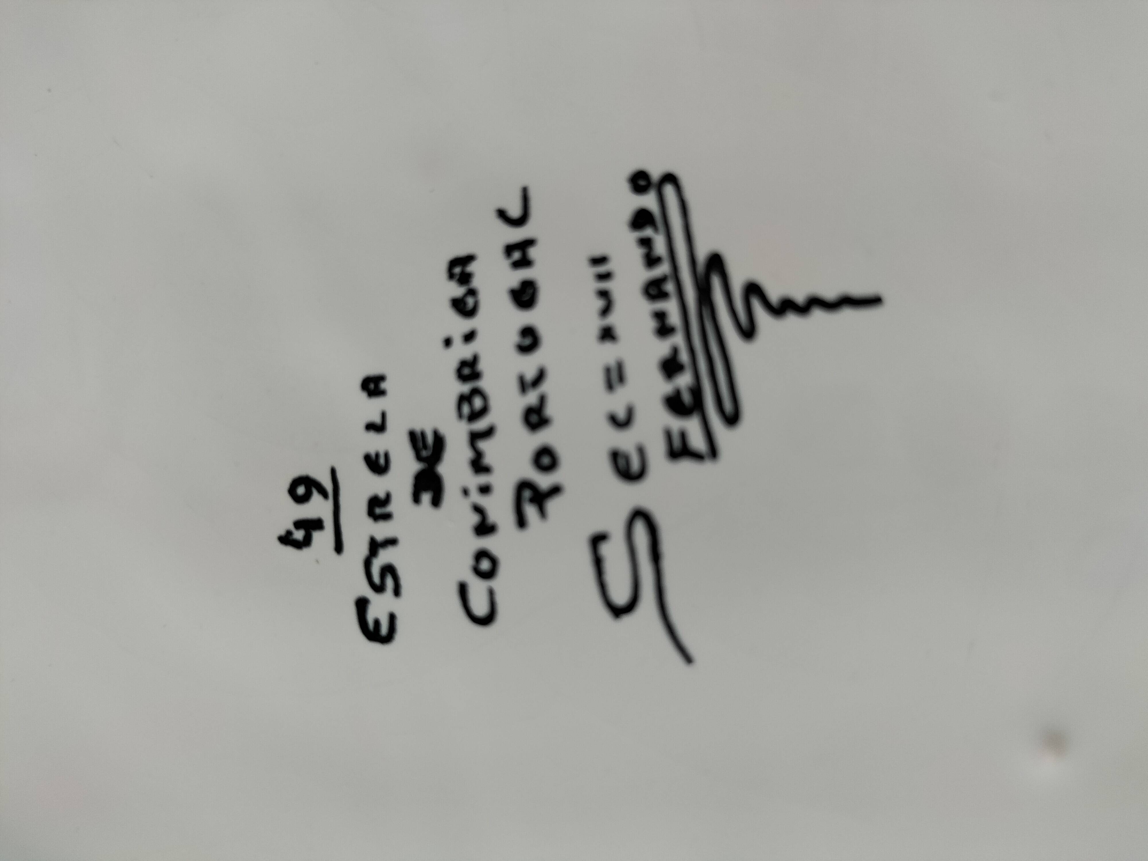 Portuguese plate signed Estrela de Conimbriga, 17th century Colours decor