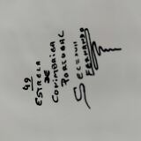 Portuguese plate signed Estrela de Conimbriga, 17th century Colours decor