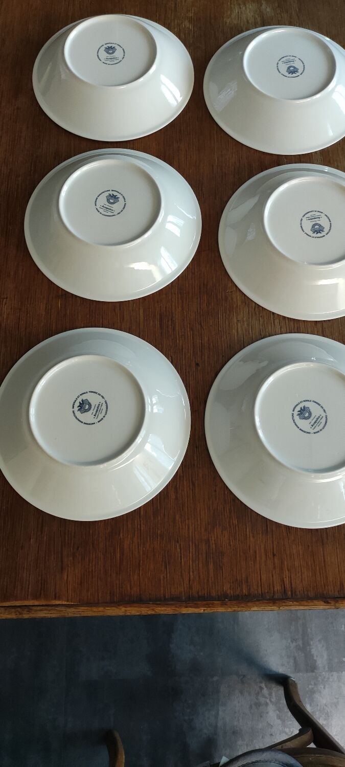 6 hollow plates acapulco villeroy and bosch