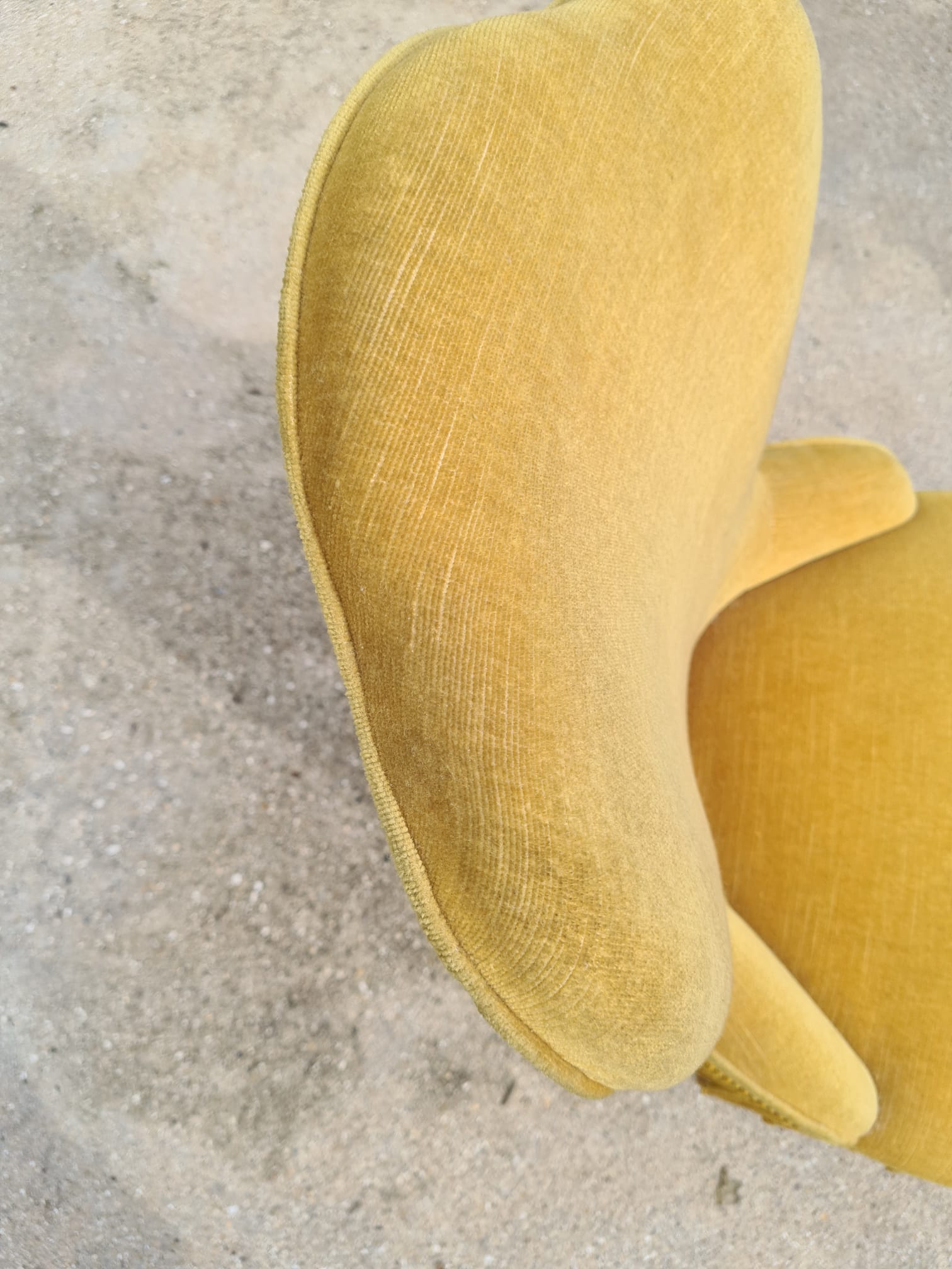 Yellow toad armchair with fringes