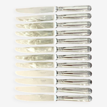 Christofle malmaison 12 couteaux à dessert entremet 19,5 cm