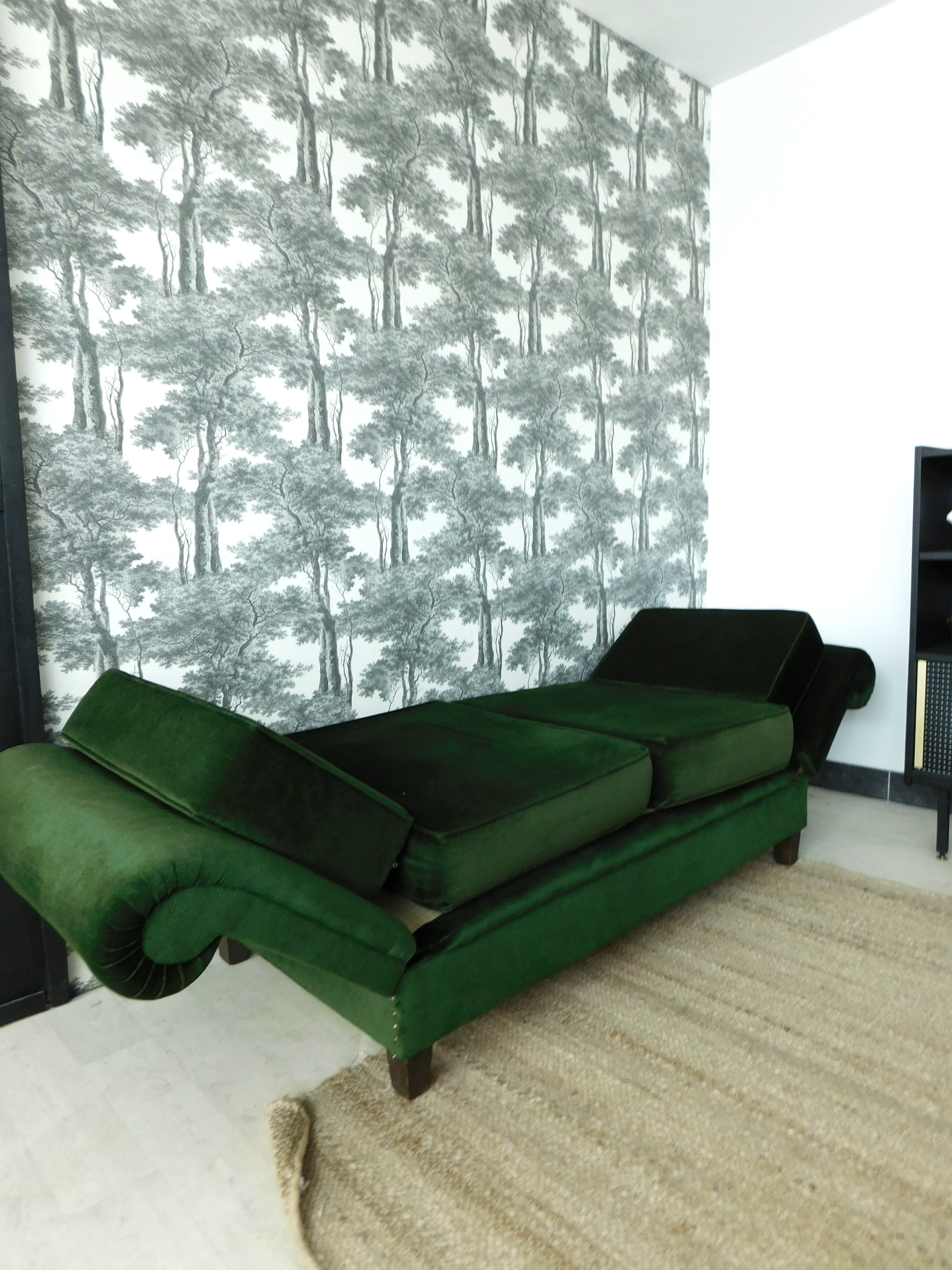 Vintage green couch