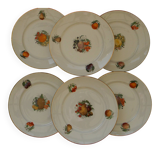 6 flat plates in orchies earthenware. fruit design.