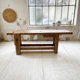 Established old oak XL