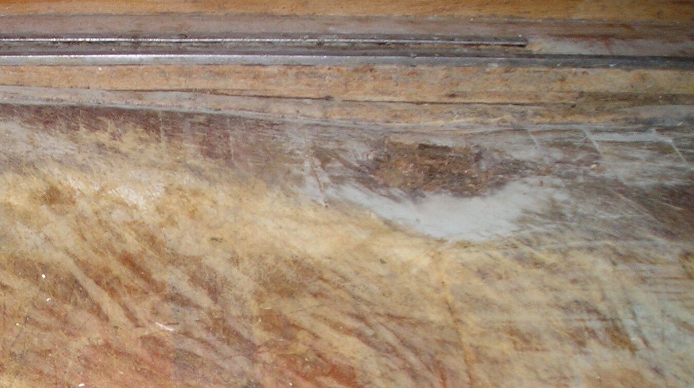 Butcher's log at 6 feet late nineteenth