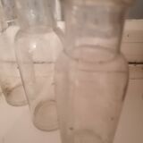 5 bottles of Chasselas grapes from Thomery