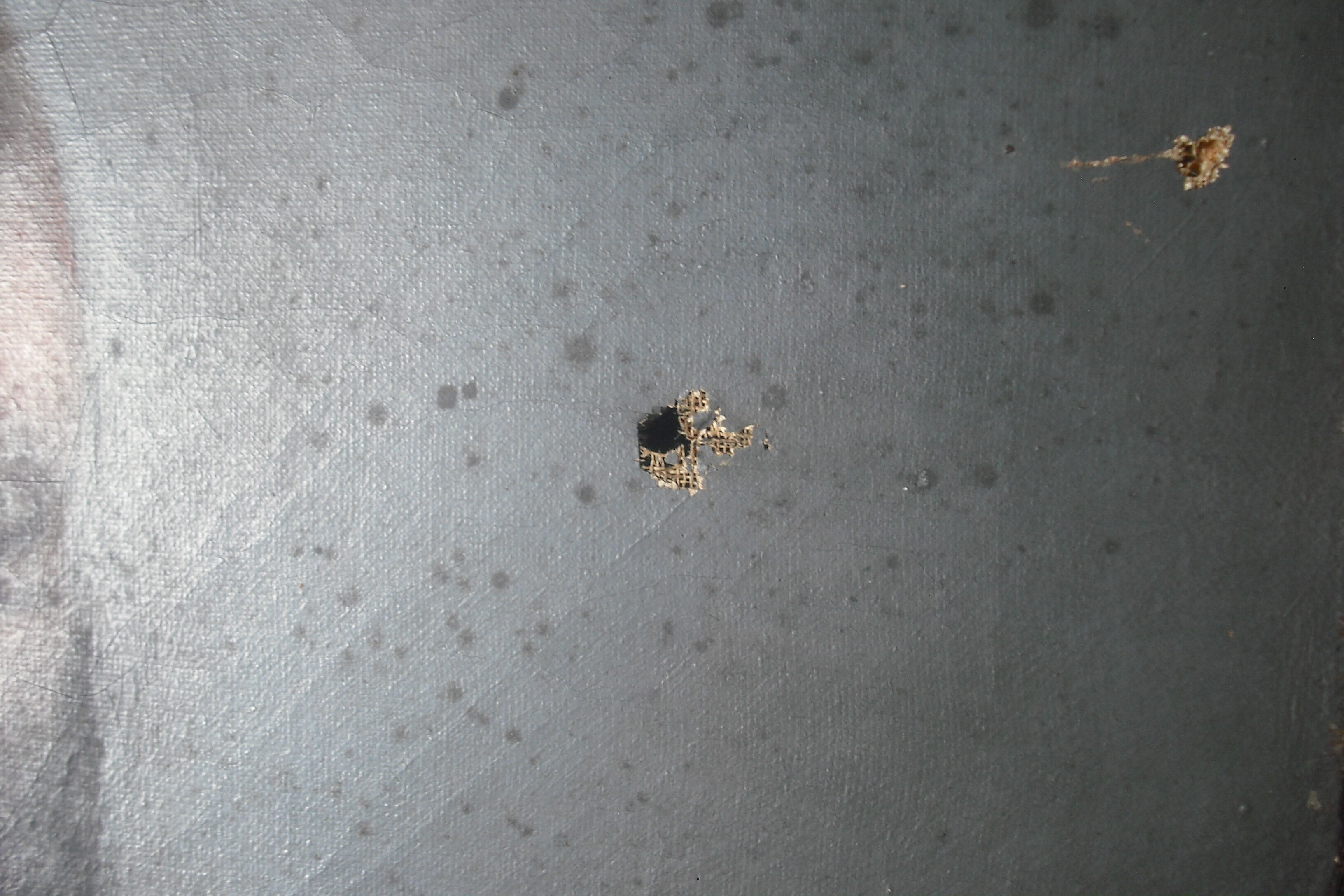 Portrait lady of quality