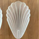 Pair of shell sconces