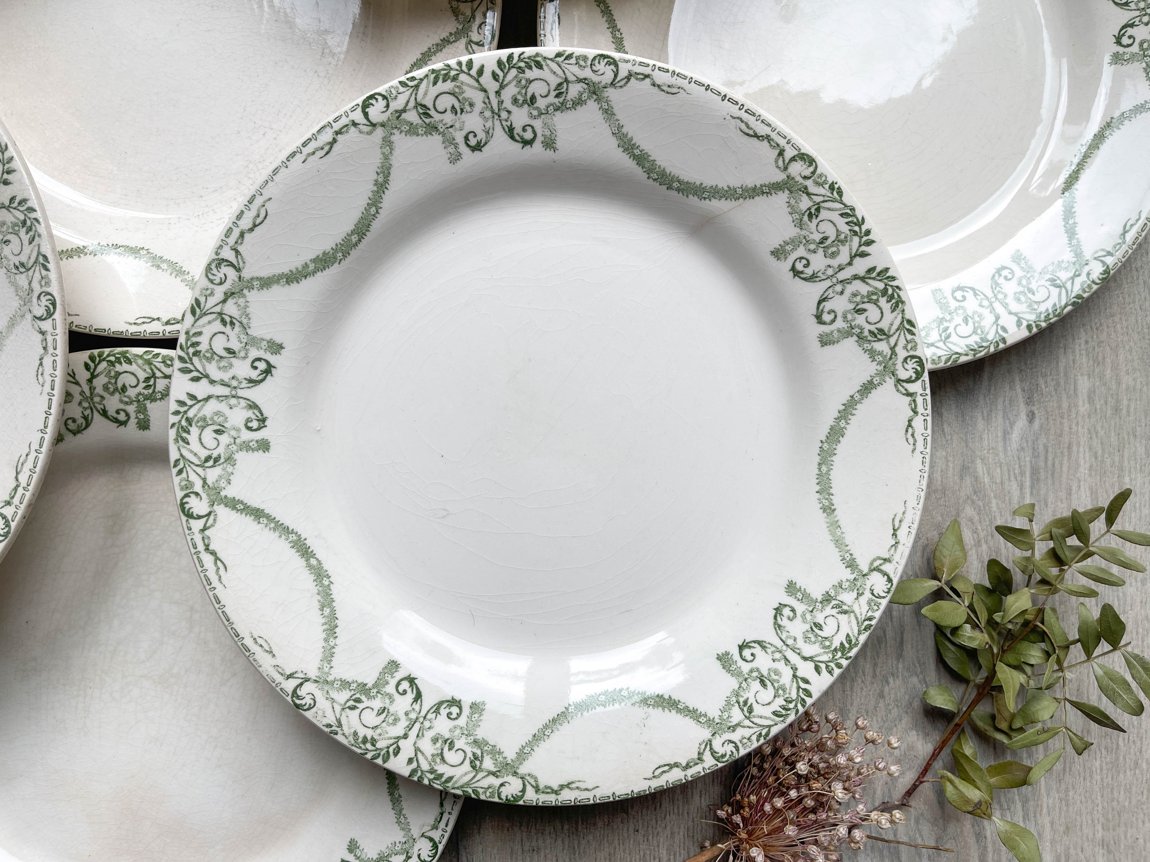 Flat plates terre de fer green creil & montereau labrador model "napoleon" 1890s