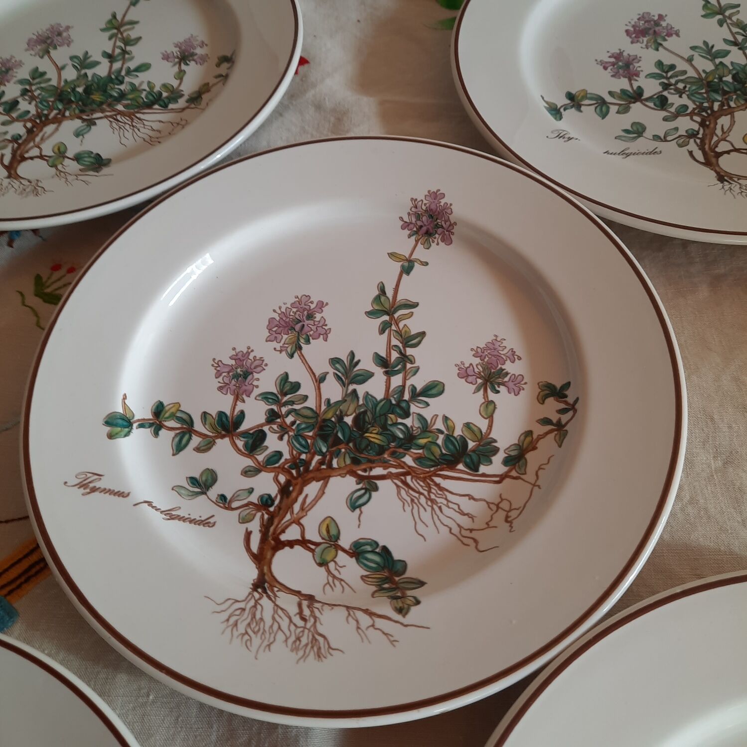 6 small plates - 20 cm - Botanica, Villeroy and Boch series