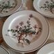 6 small plates - 20 cm - Botanica, Villeroy and Boch series