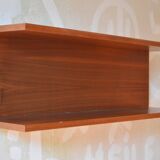 Vintage teak shelf designed by W.Wirz for Wilhelm Renz Germany of the 60s