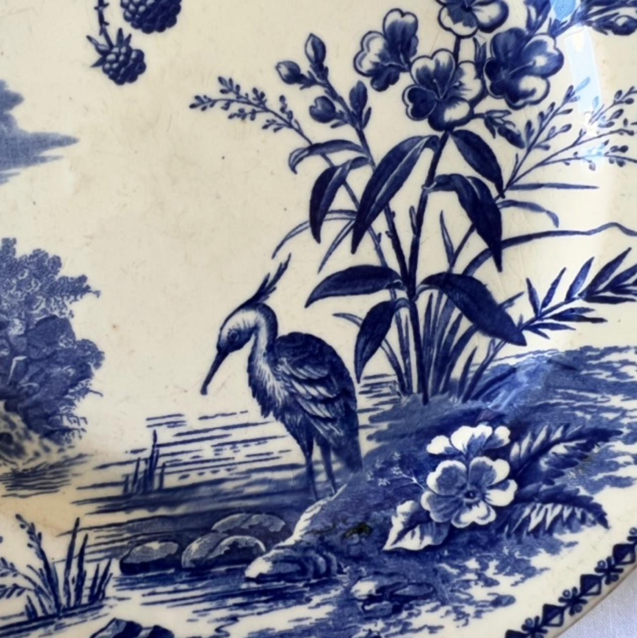 Plates Lillington, Cobridge England