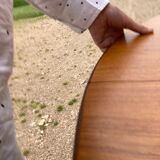 Scandinavian round table with extension