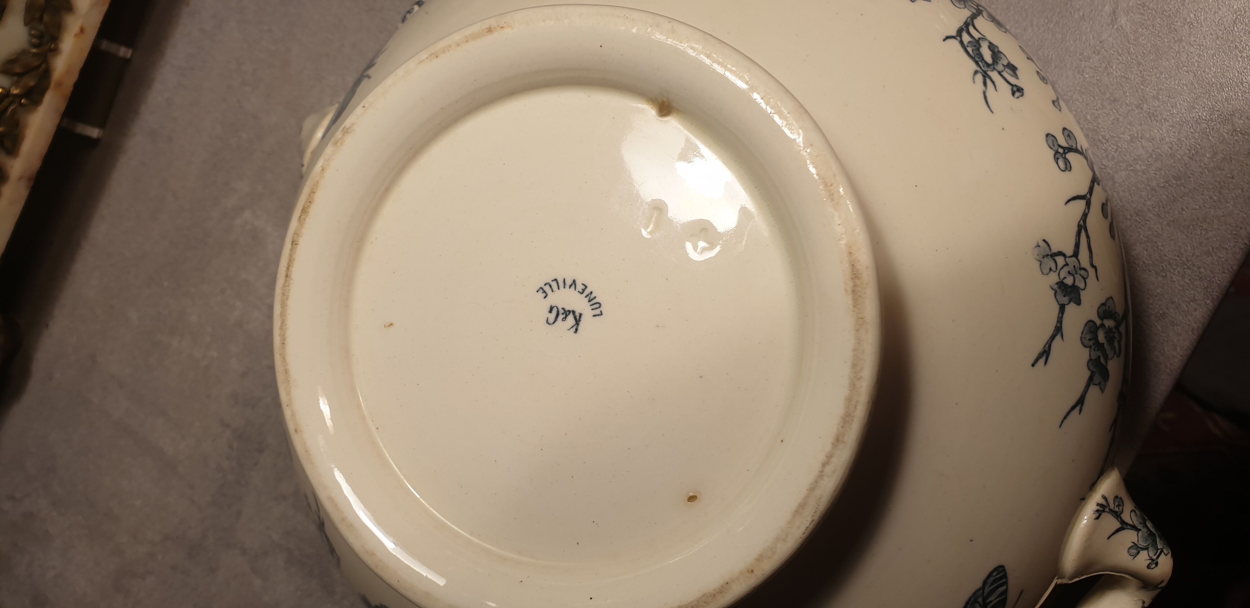 Insect Shoemaker XIXth