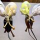 Pair of "vintage" wall lights in brass, perspex, and black bakelite, France Mid-Century