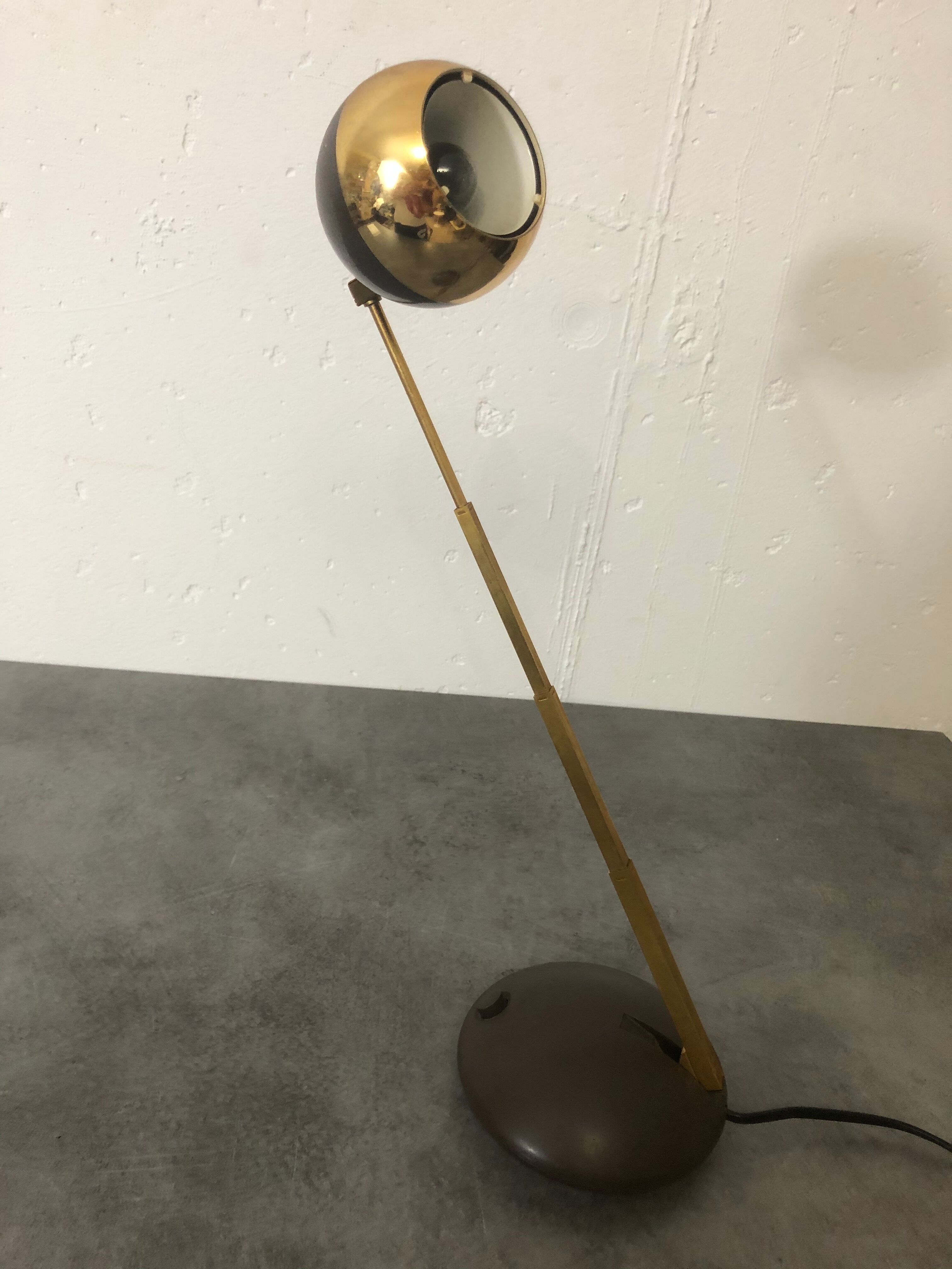 Telescopic Eyeball Lamp