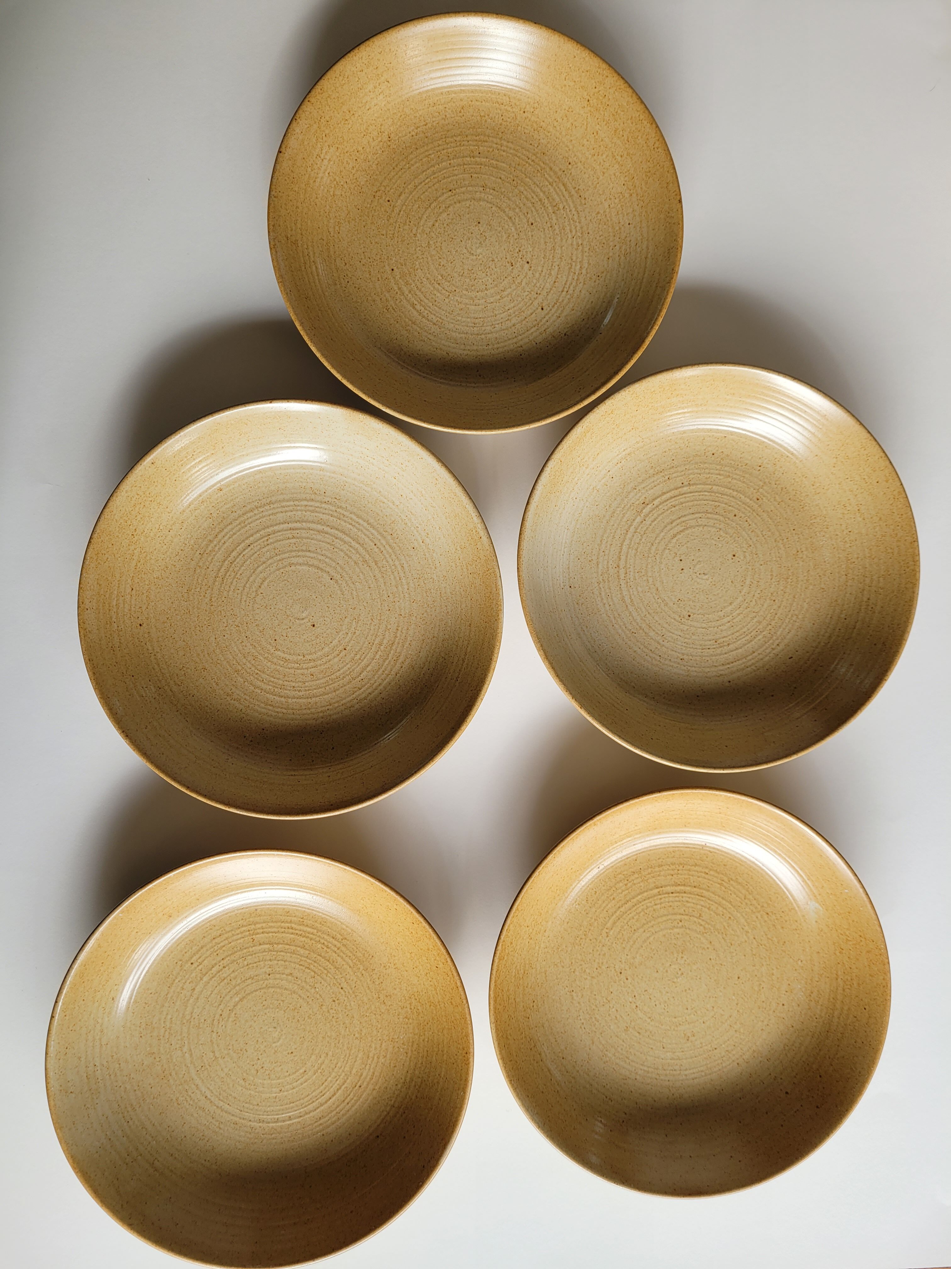 Lot de 5 assiettes creuses en grès