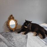 Old mirror in gilded wood - 34x21cm