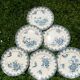Set of 6 blue iron earth plates