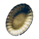 Old oval dish