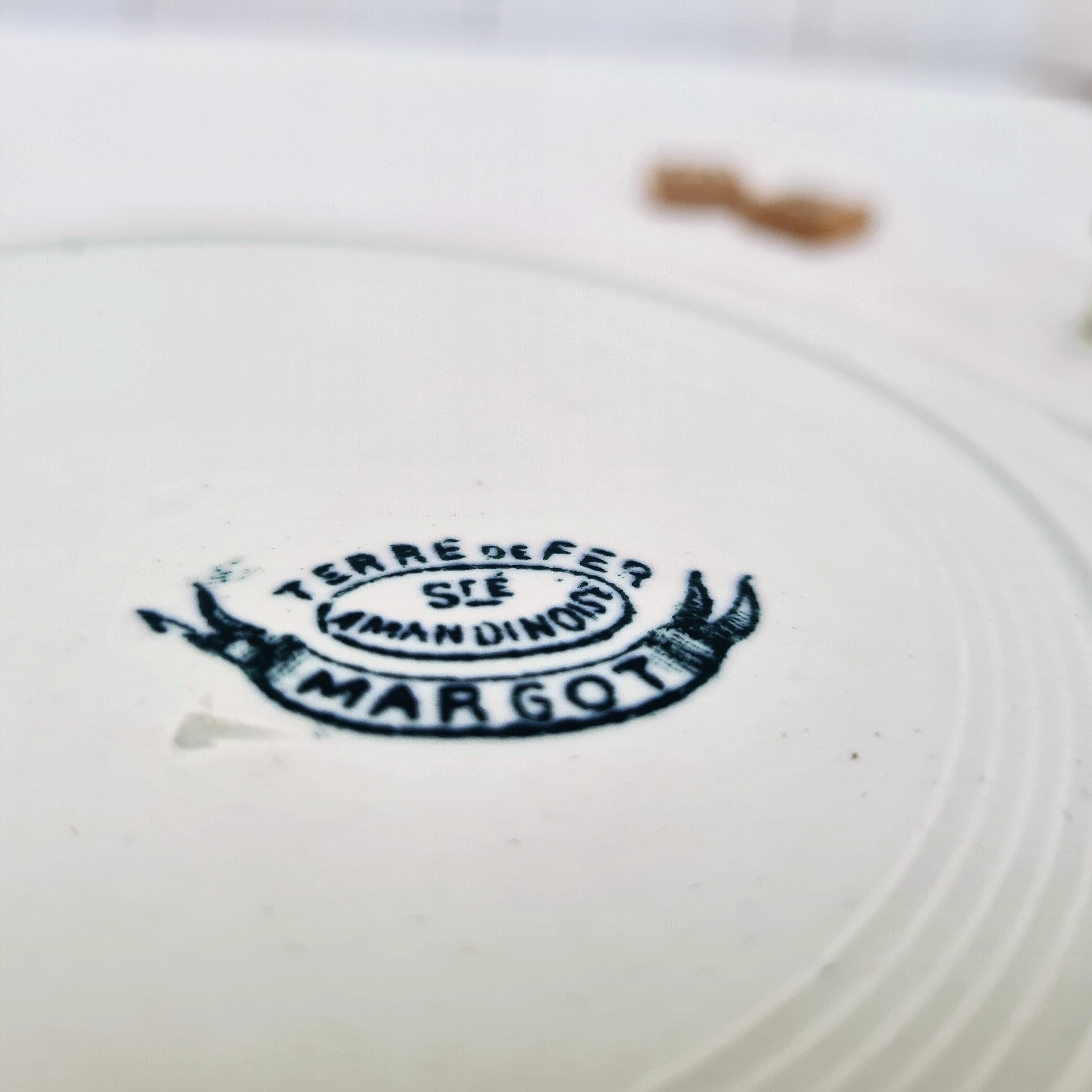 Set de 4 assiettes plates Terre de Fer