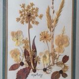 Authentic herbarium table