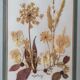 Tableau herbier authentique