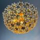 Bakalowits & Söhne floral crystal chandelier, Austria, 1970s