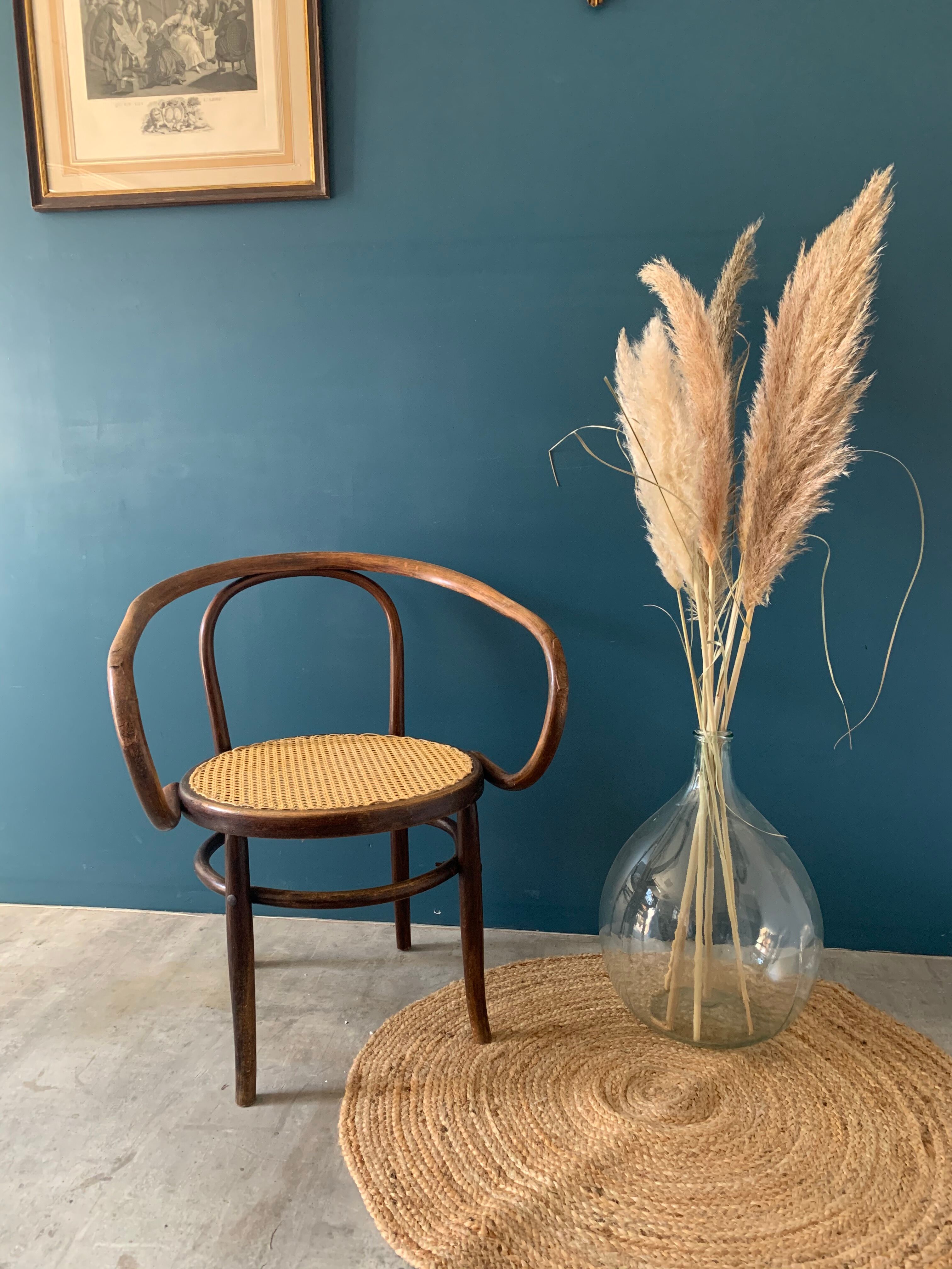 Mundus chair in curved wood