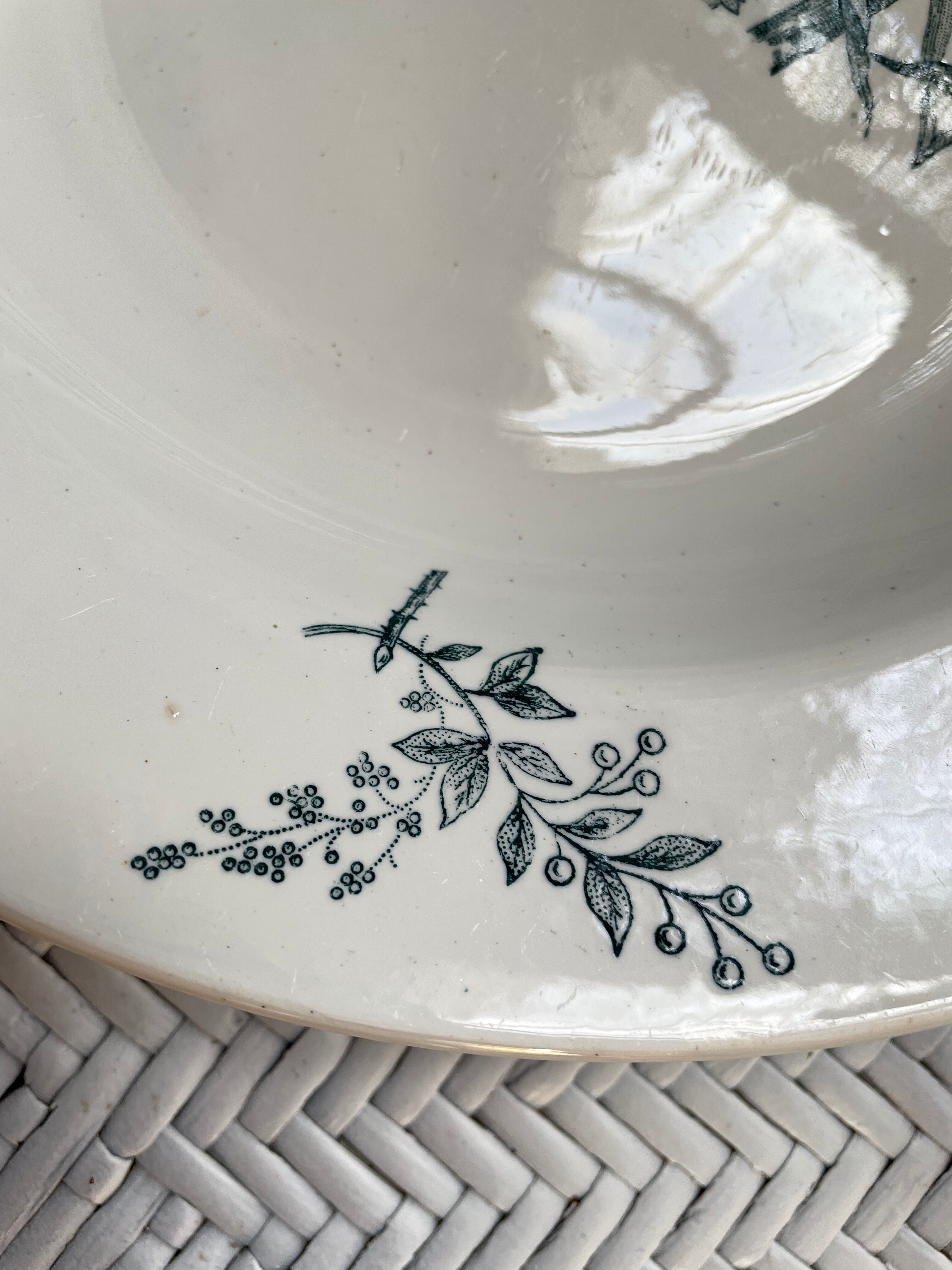 Hollow dish Saint Amand & Hamage "Aucella"