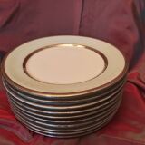 Flat plates Limoges
