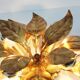 Wonderful pair gilded floral flush mount lights by Hans Kogl