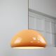 Mid-Century Modern Cabras Lamp by Luigi Massoni for Guzzini, 1960s