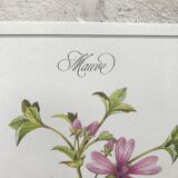 Botanical plate mauve