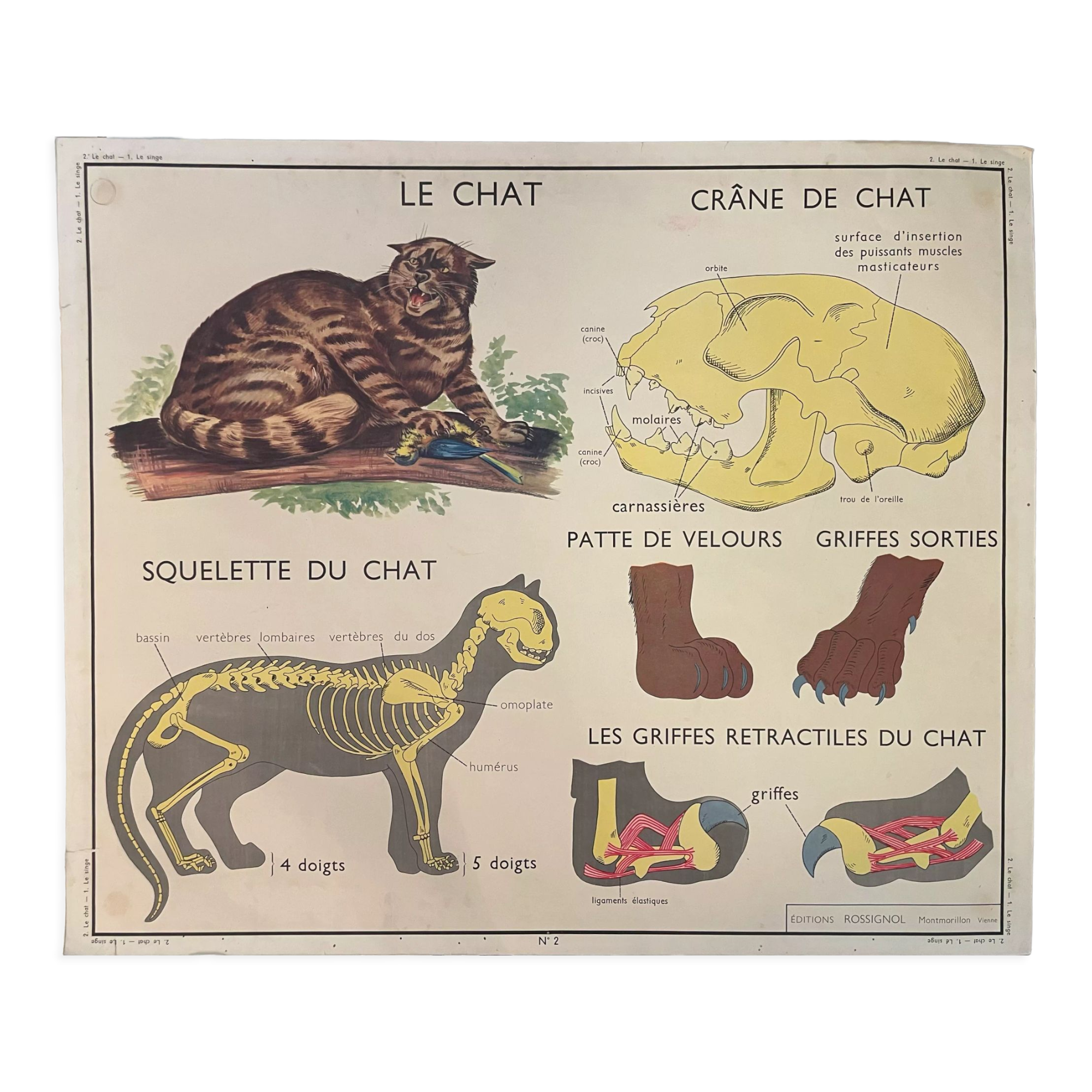 School poster The Cat and the Monkey Montmorillon Rossignol