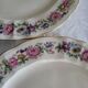 Limoges Bernardaud 5 Flat Plates in porcelain