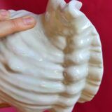 Empty cup vintage pocket shell shape conch conch shell iridescent white