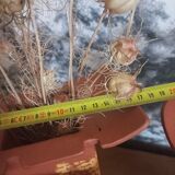 Trio of terracotta vases, unique pieces