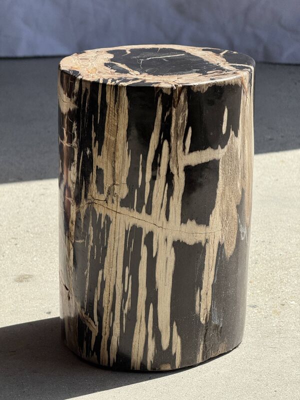 Petite table d'appoint en bois pétrifié cœur noir écorce stries noires et b