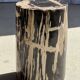 Petite table d'appoint en bois pétrifié cœur noir écorce stries noires et b